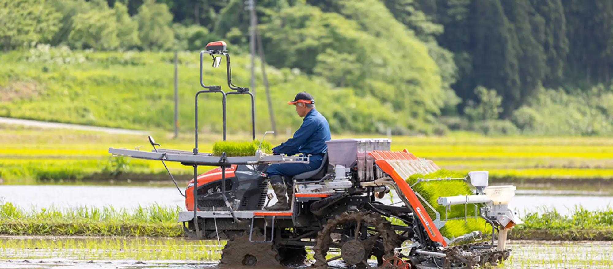 自然の恵みを十分に受けたお米を全国へお届けします